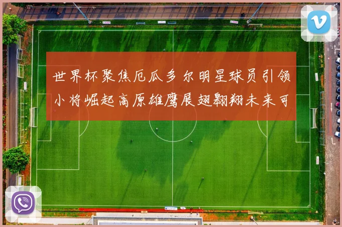 世界杯聚焦厄瓜多尔明星球员引领小将崛起高原雄鹰展翅翱翔未来可期